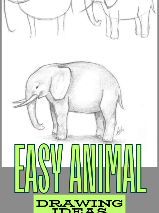 39 Easy Animals to Draw for Beginners