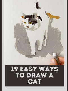 draw cat