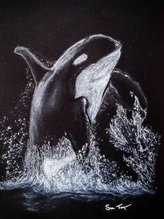 10 Astounding White Colored Pencil on Black Paper Drawing Ideas