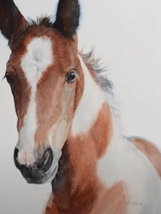 How to Paint a Horse in Watercolor (Plus Stunning Ideas You’ll Love)