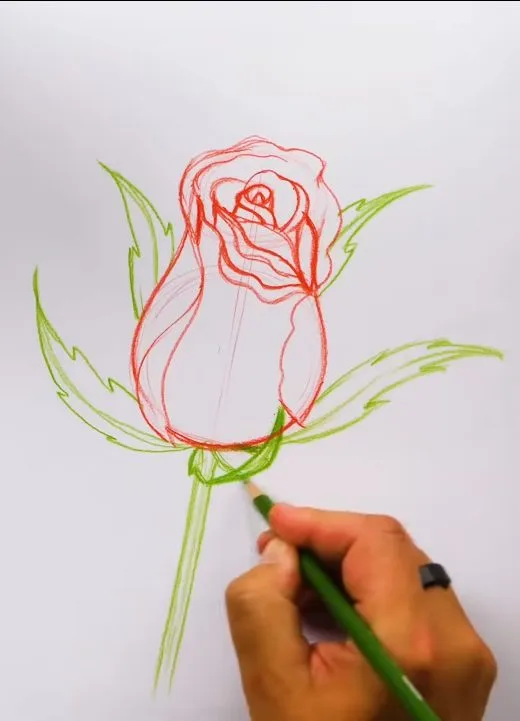 how to draw a rose for intermediate artists
