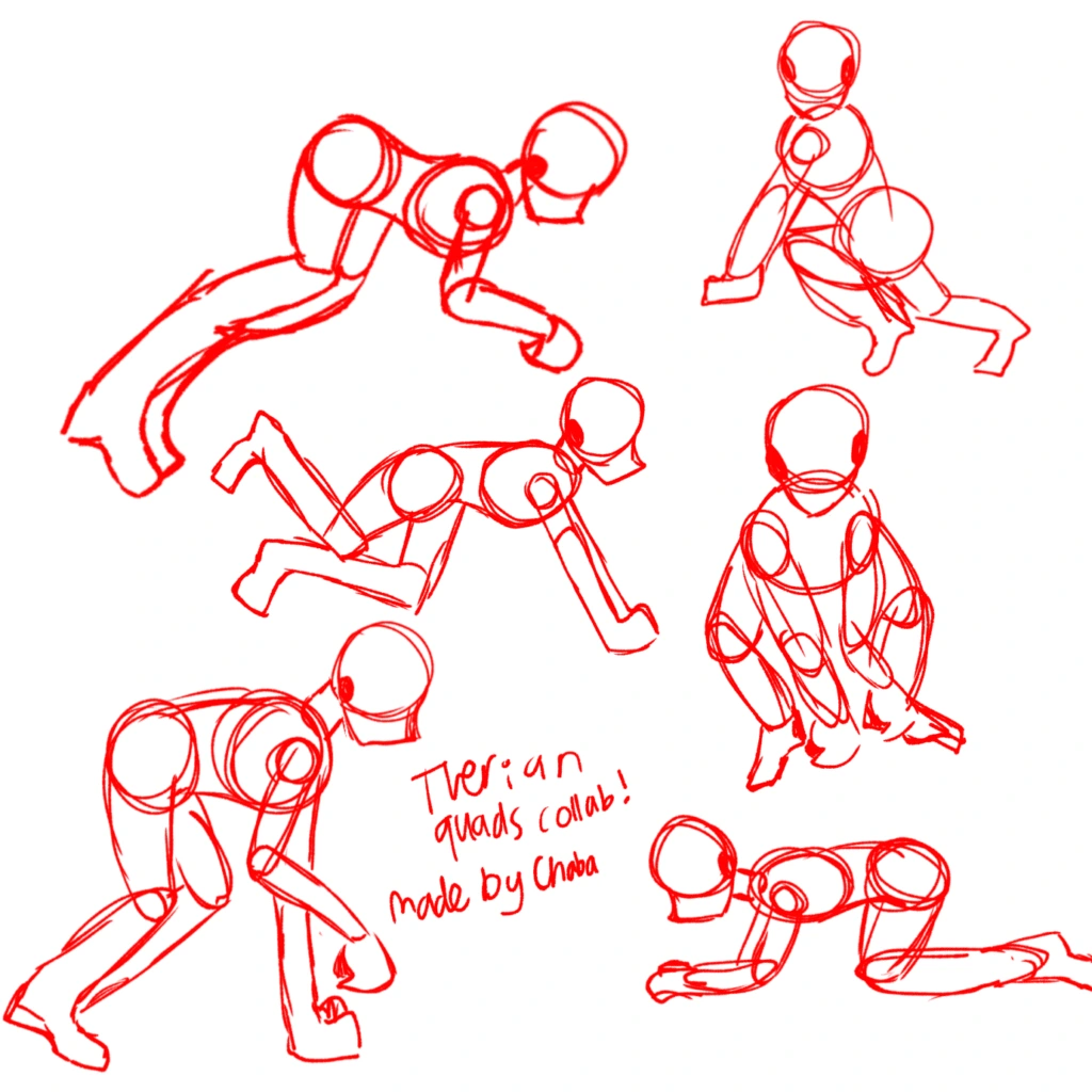 How Quads Work: Between Biology and Ritual